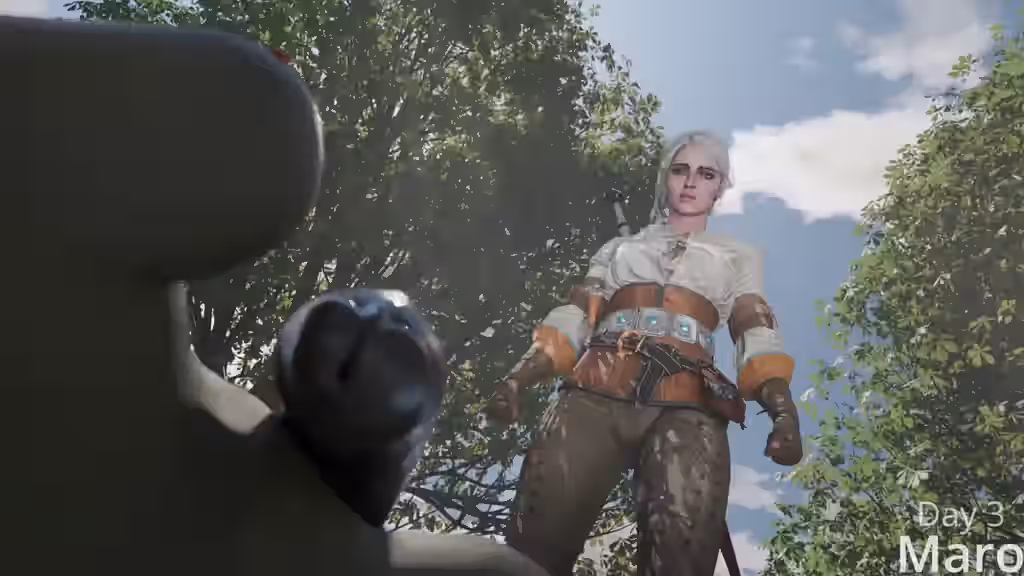 The Witcher (Series) Rule 34 Video