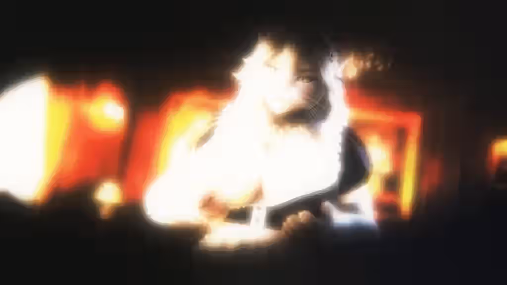 24fps Rule 34 Video