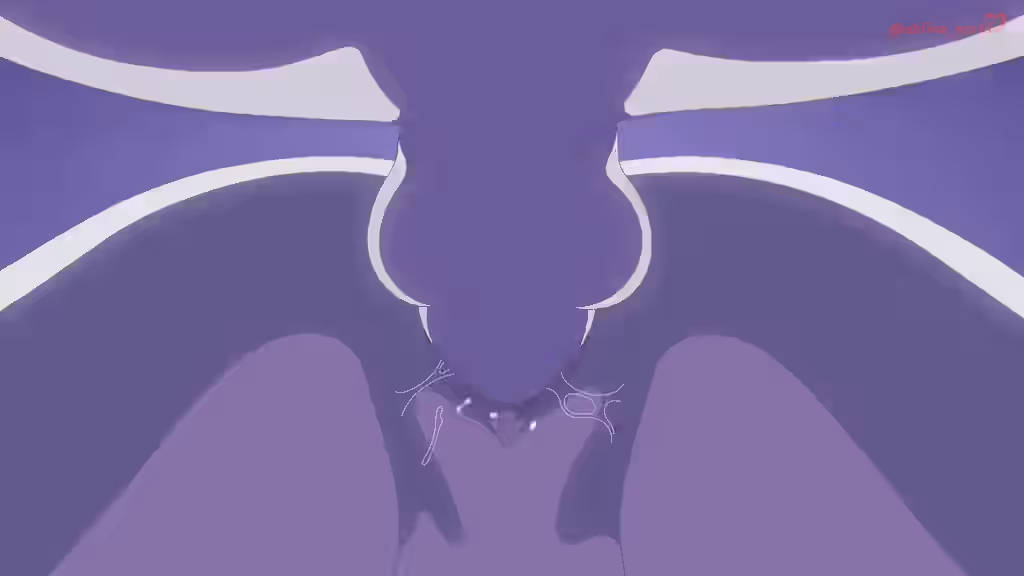 Ass Focus Rule 34 Video