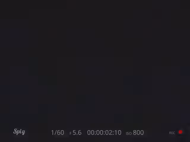 1girls Rule 34 Video