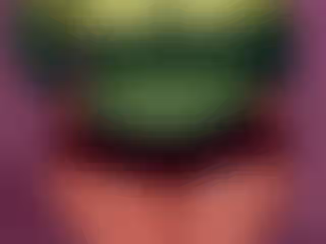 Animated Rule 34 Video