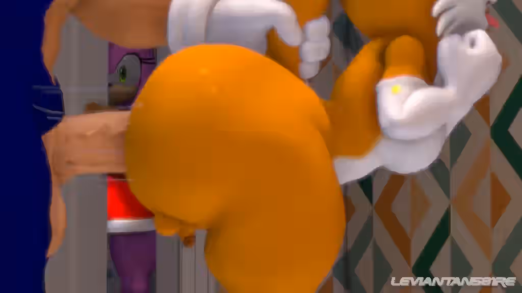 Sonic (Series) Rule 34 Video