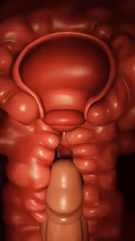 3d Rule 34 Video