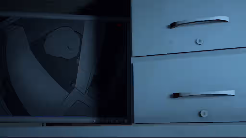 Alternate (Mandela Catalogue) Rule 34 Video