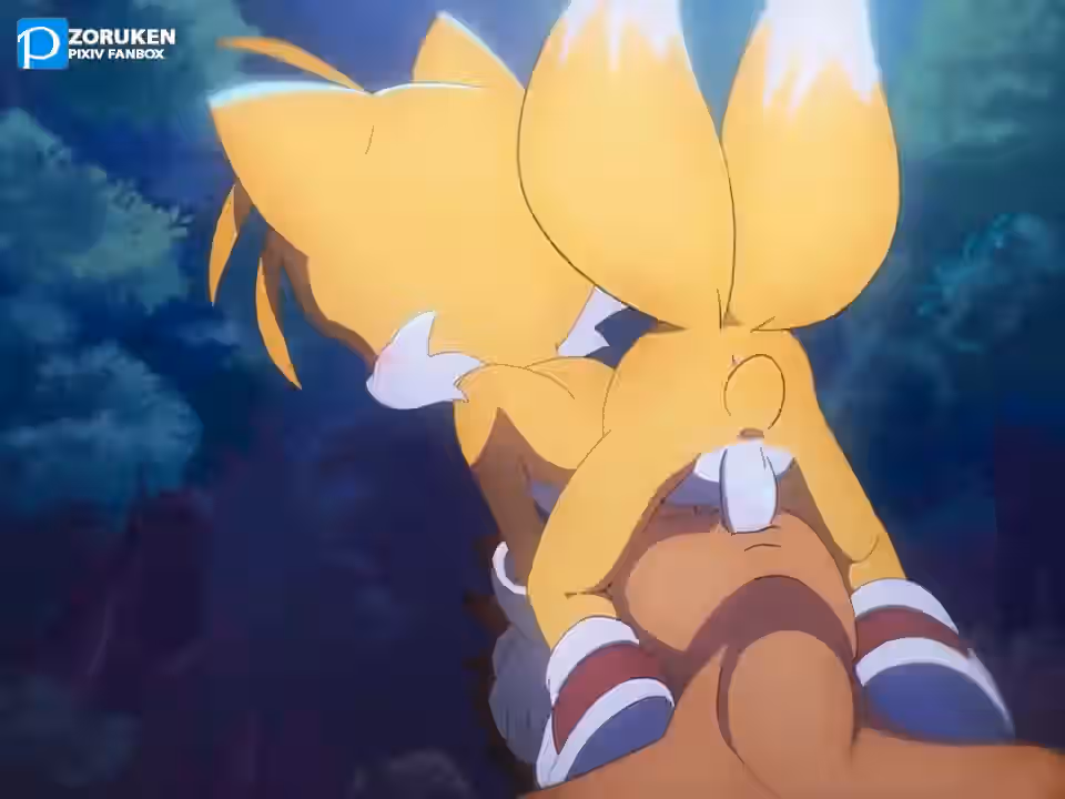 Sonic (Series) Rule 34 Video