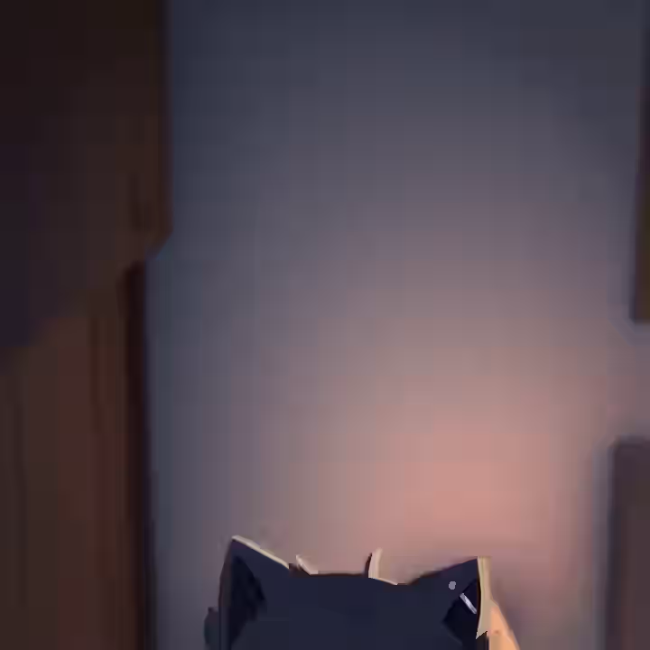 Raine (Zana) Rule 34 Video