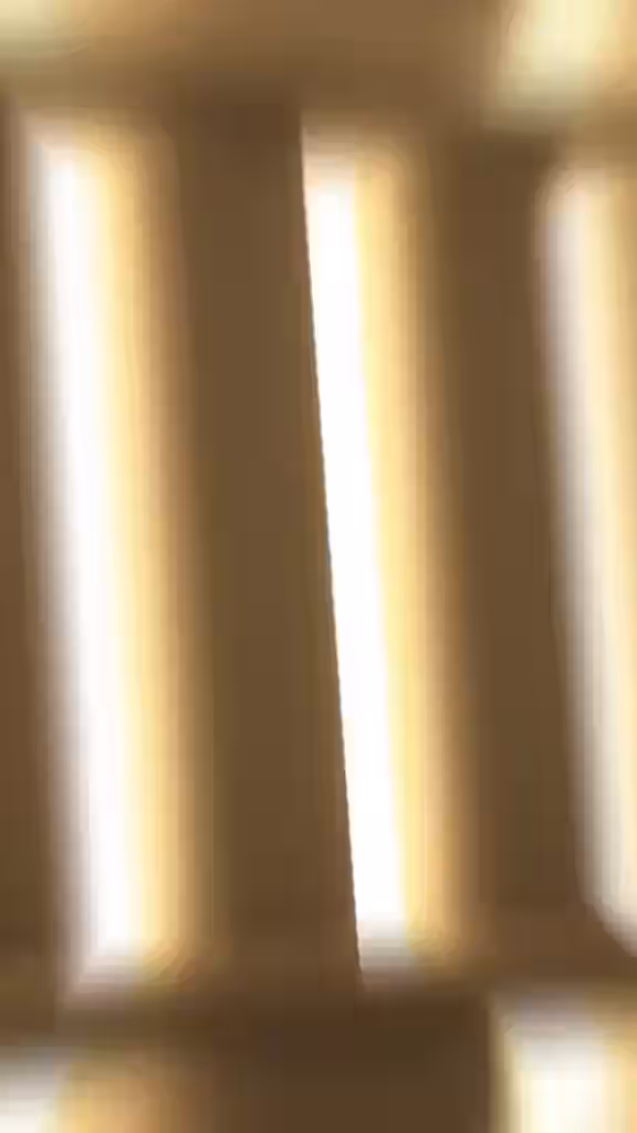3d Rule 34 Video