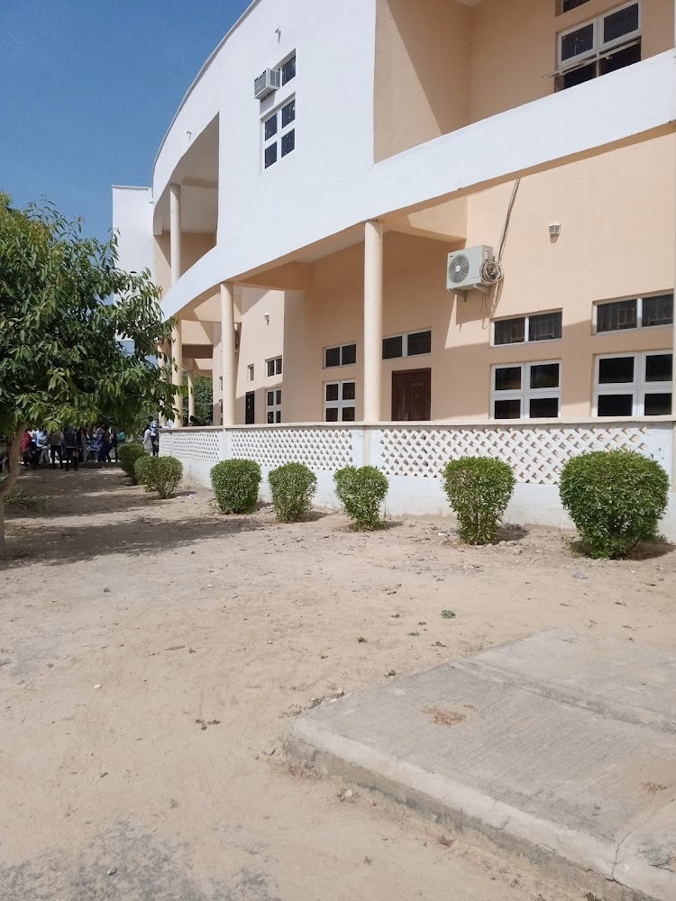 Auditorium interior - Maiduguri wedding hall