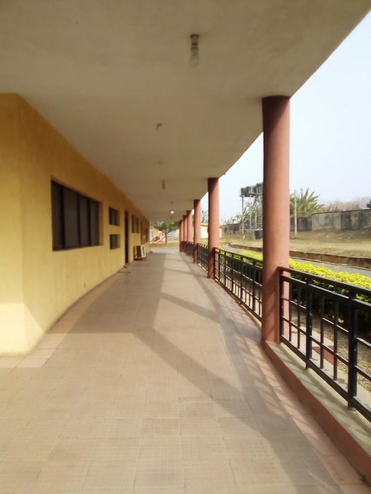 WOCDIF photo 3
