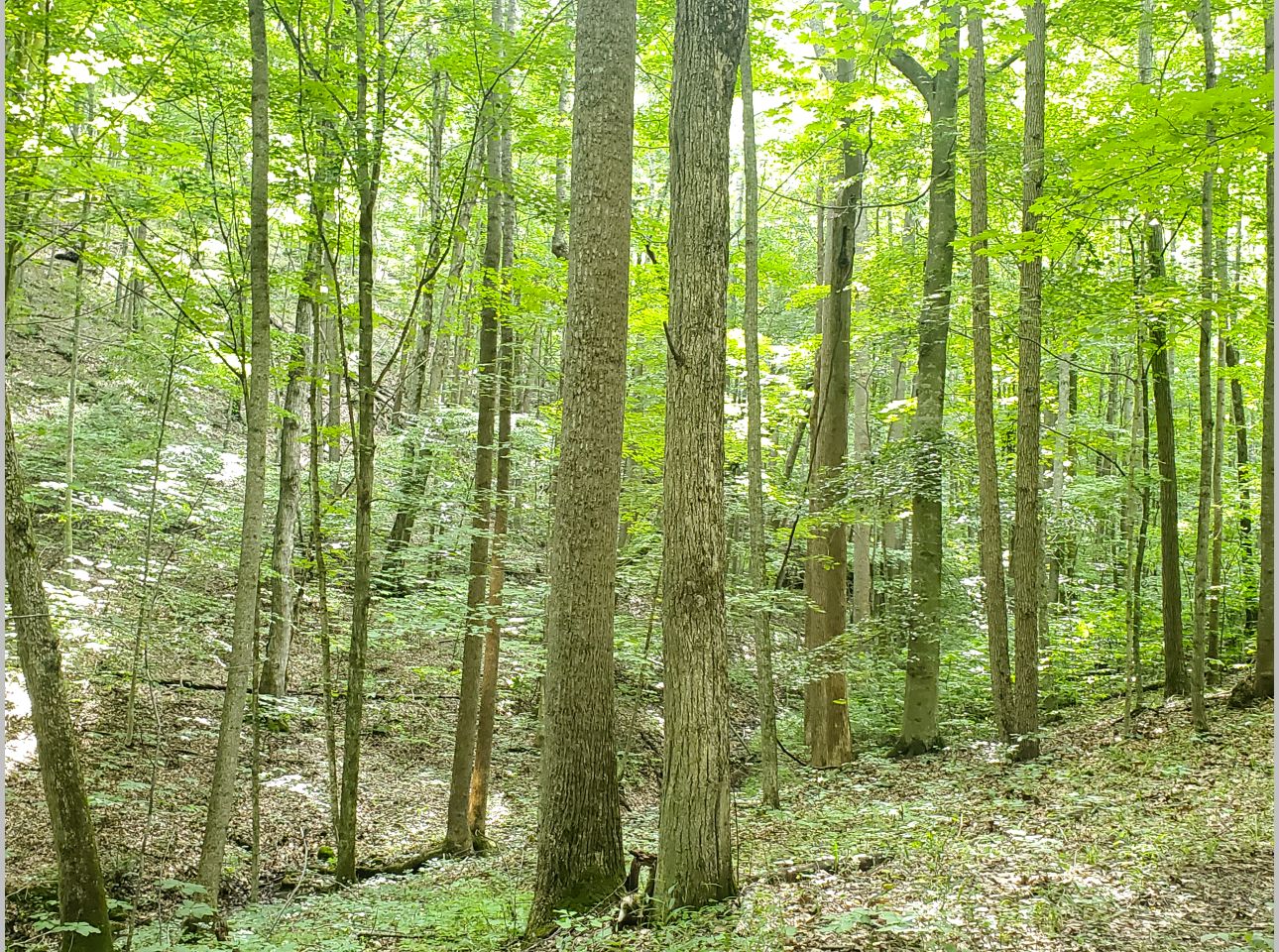 20210702_172613-p2130