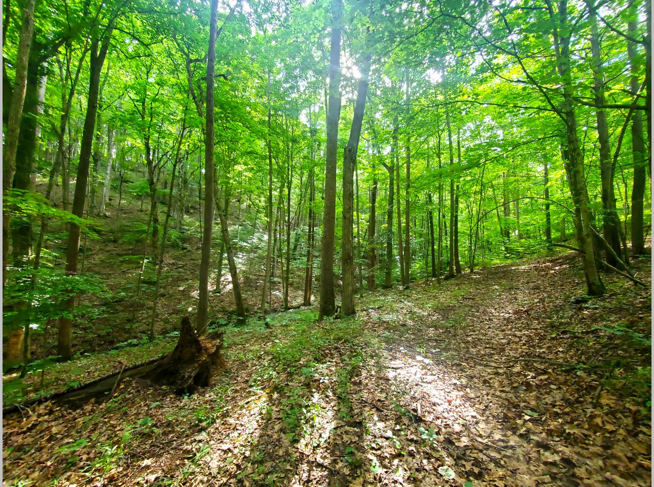 20210702_172622-p2130