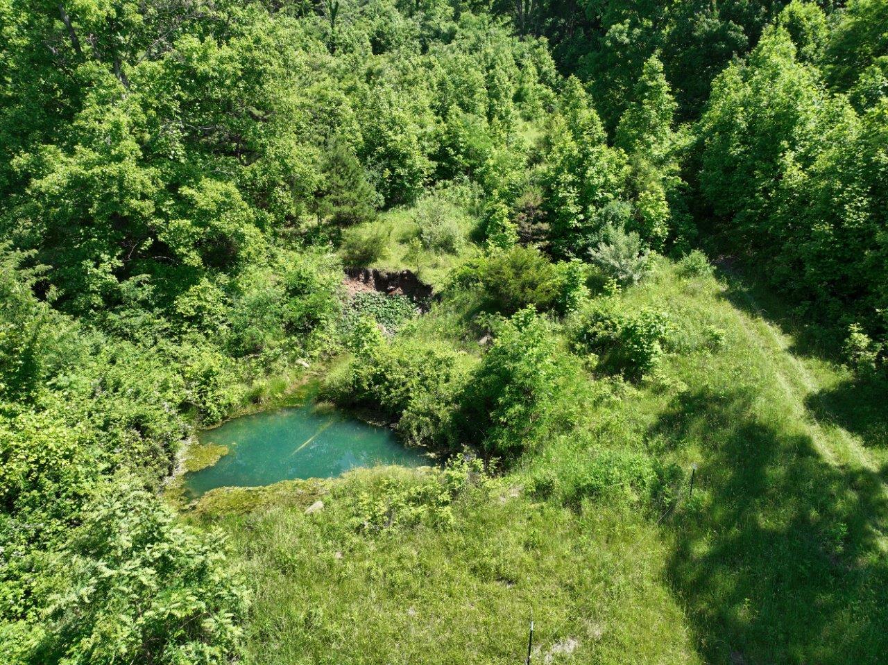Pond on Tract 6 -DJI_0050