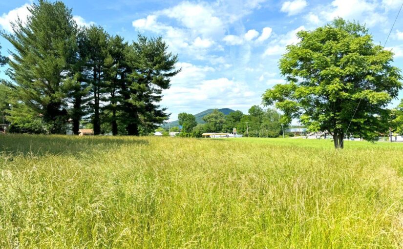 For Sale: Vacant Lot