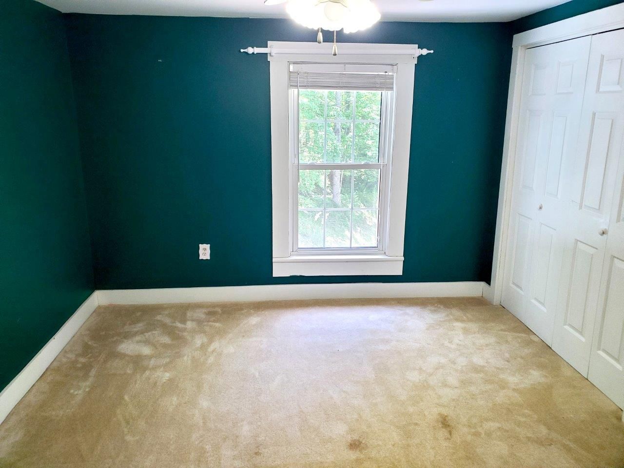 1974--20240607_125413