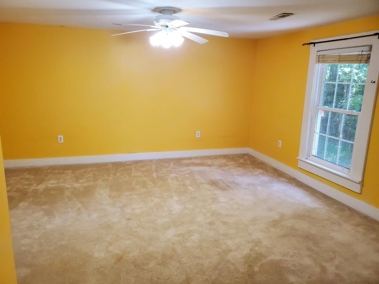 1974--20240607_125429