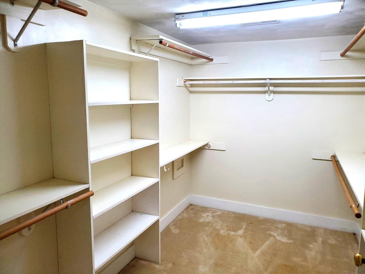 1974--20240607_125542