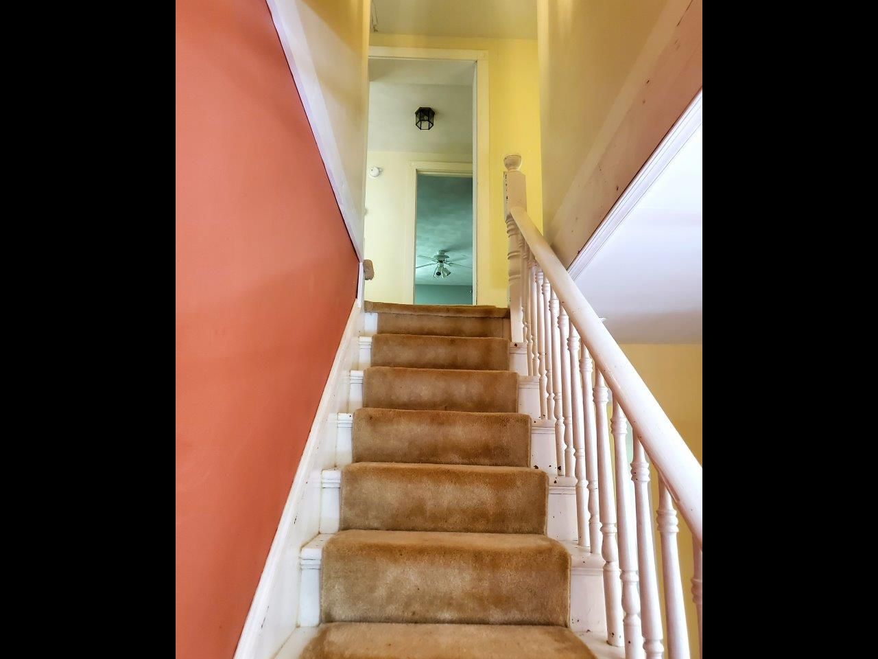 1974--20240607_125347