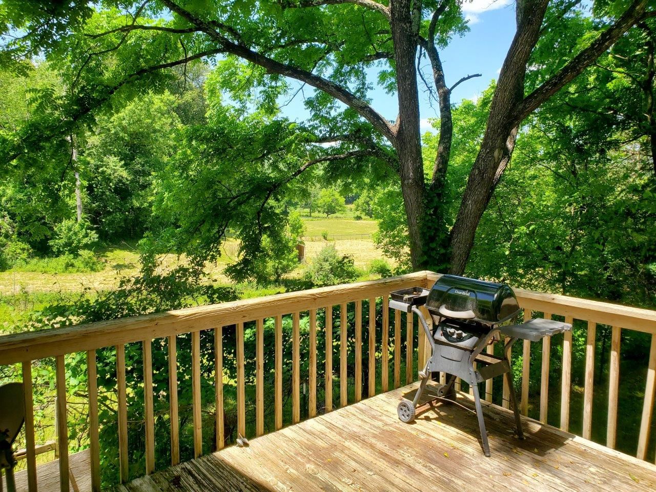 1974--20240607_125257