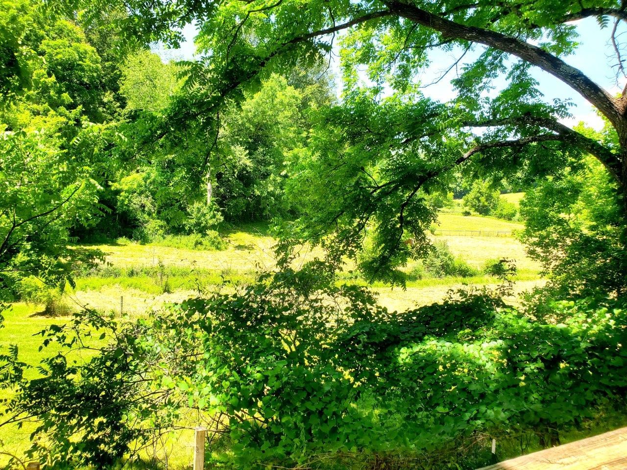 1974--20240607_125304