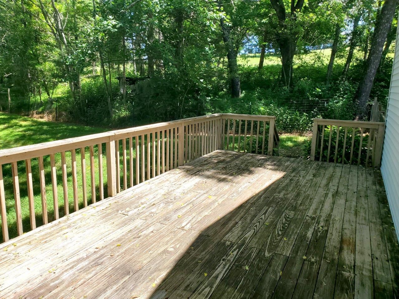 1974--20240607_125309