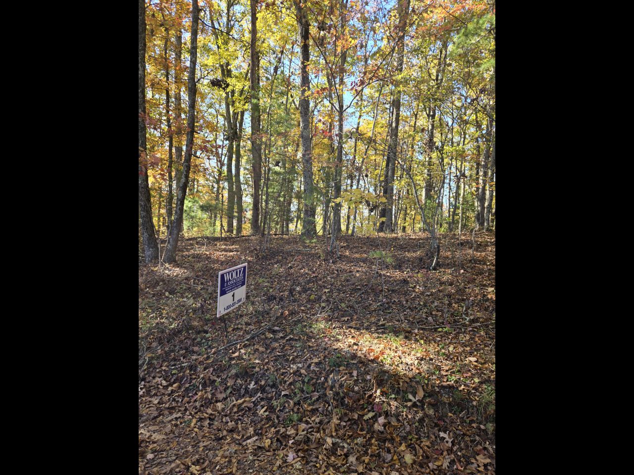 001 --20241020_151615