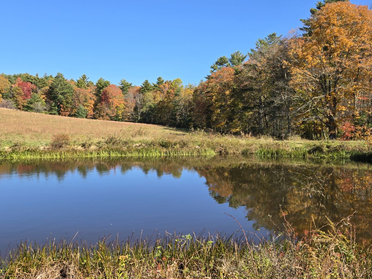 003 --20241020_140141