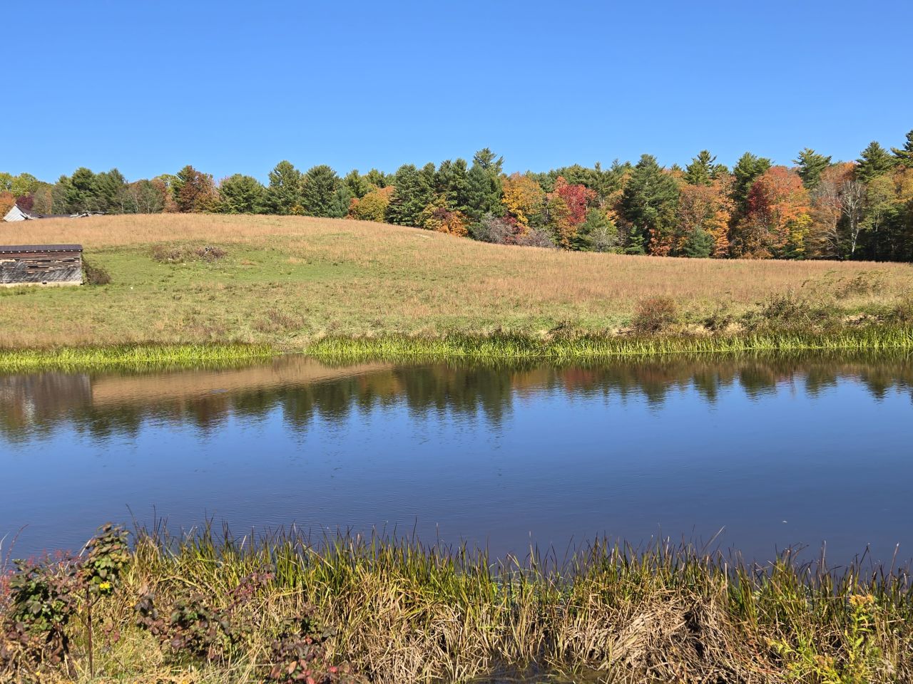 003 --20241020_140145