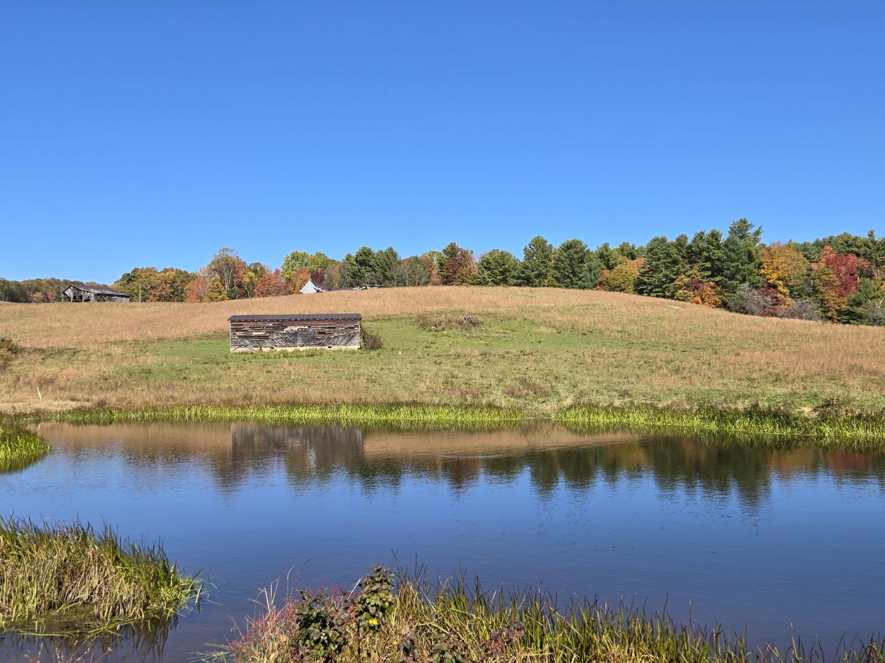 003 --20241020_140150