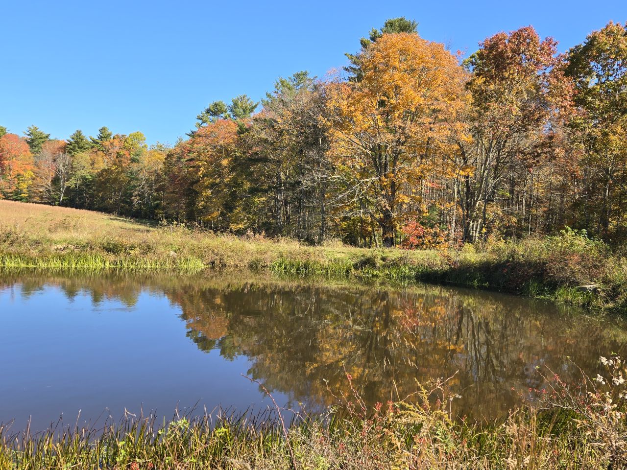 003 --20241020_140156