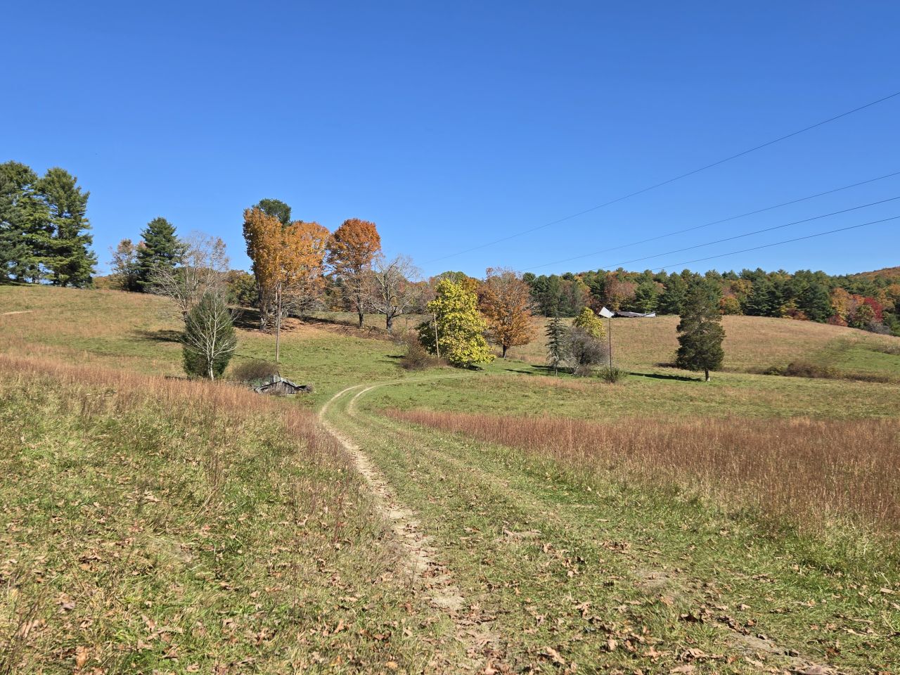 004 --20241020_130126