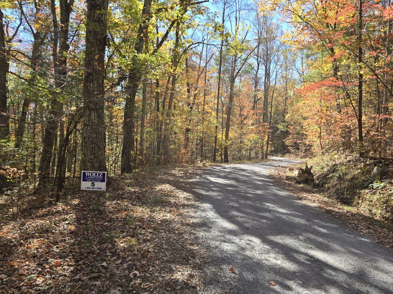 005 --20241020_133526