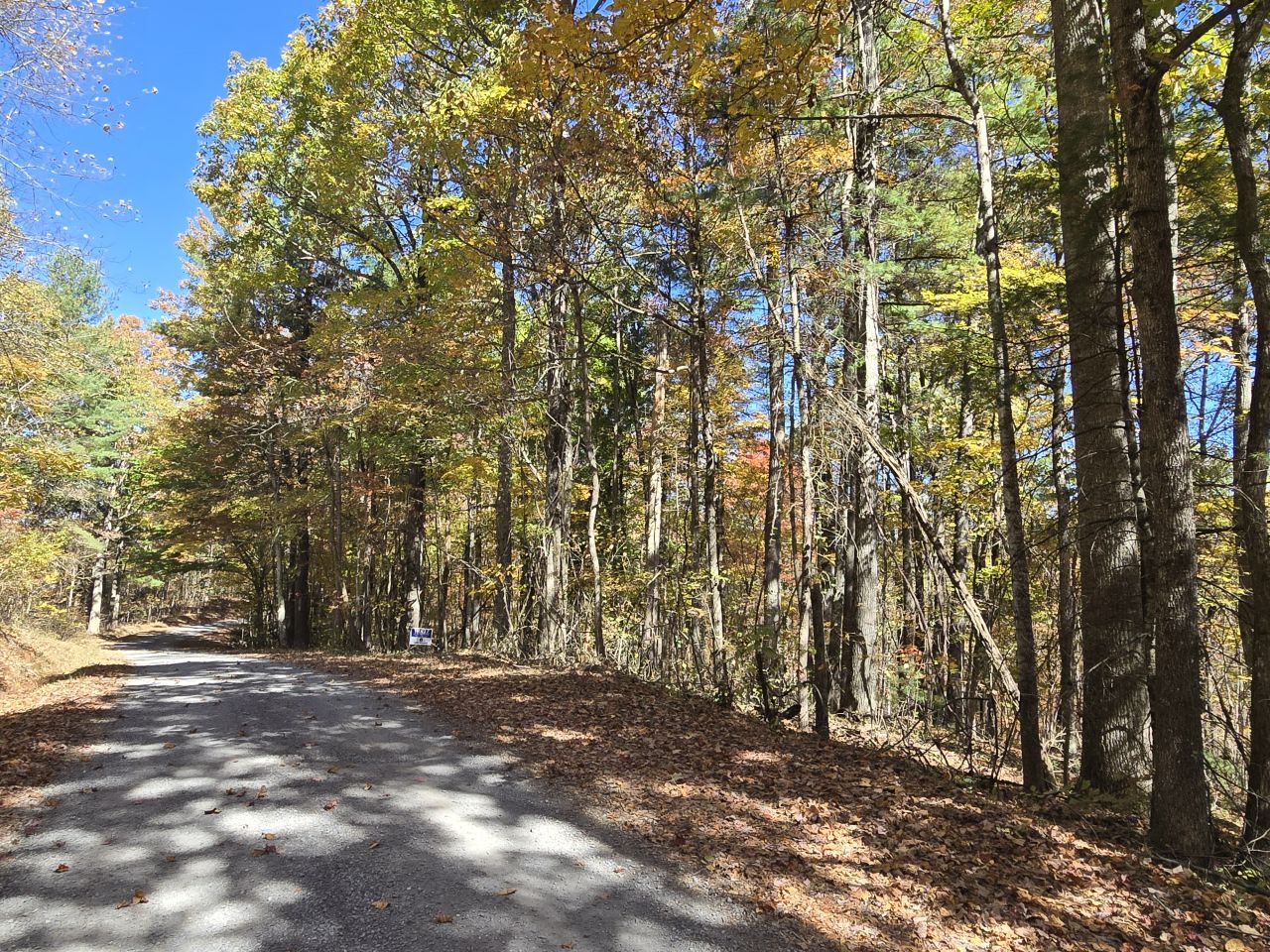 006 --20241020_133840