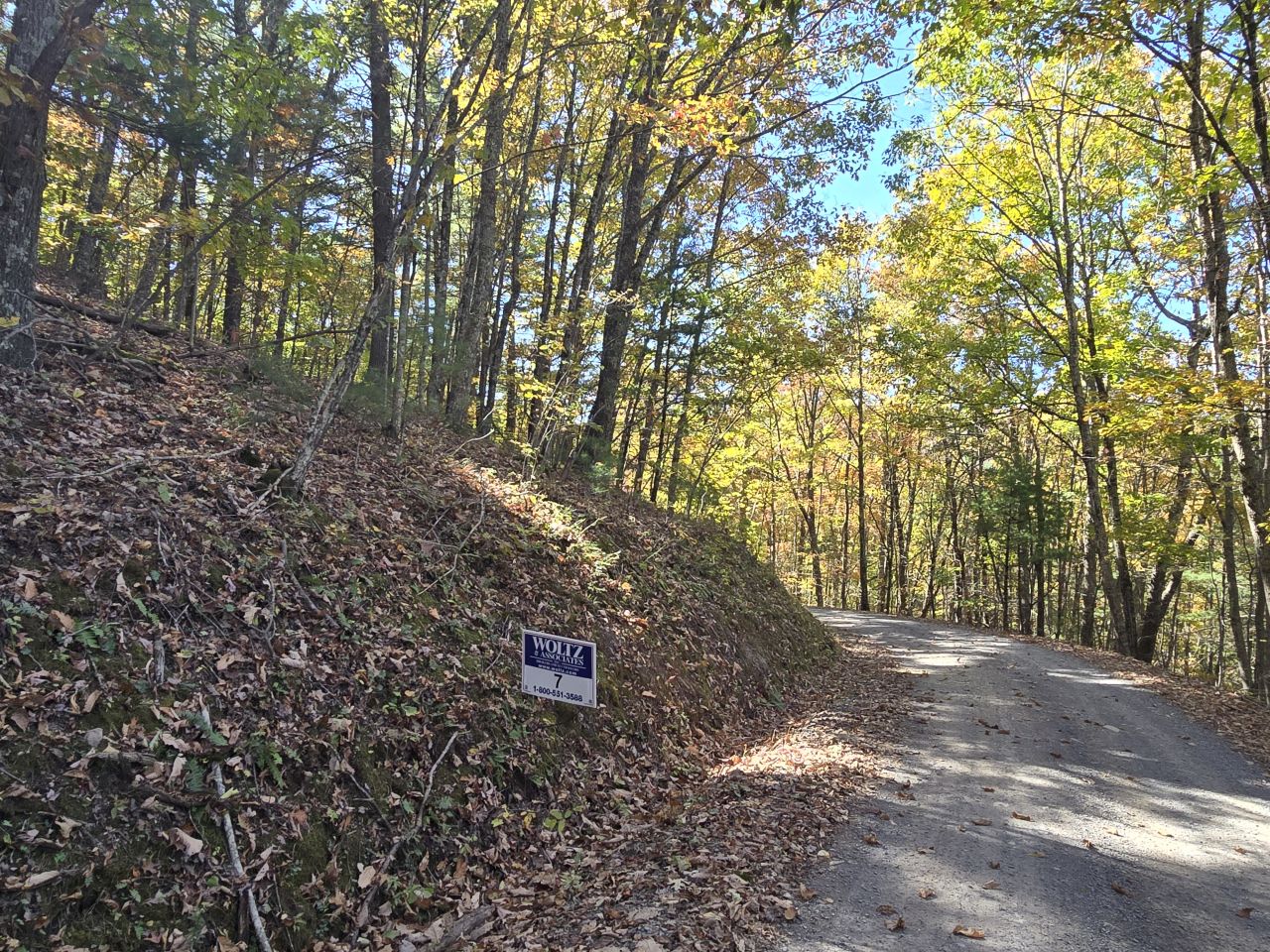 007 --20241020_133937