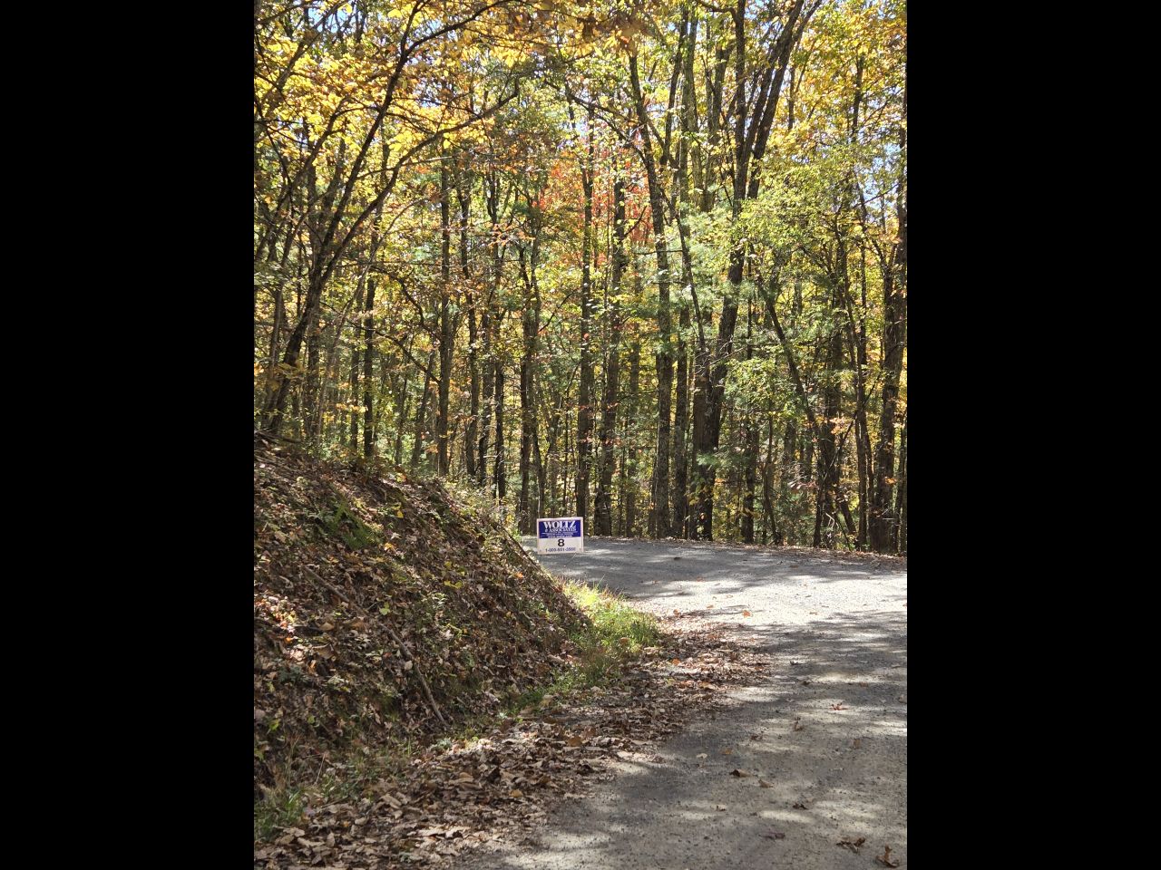 008 --20241020_134353