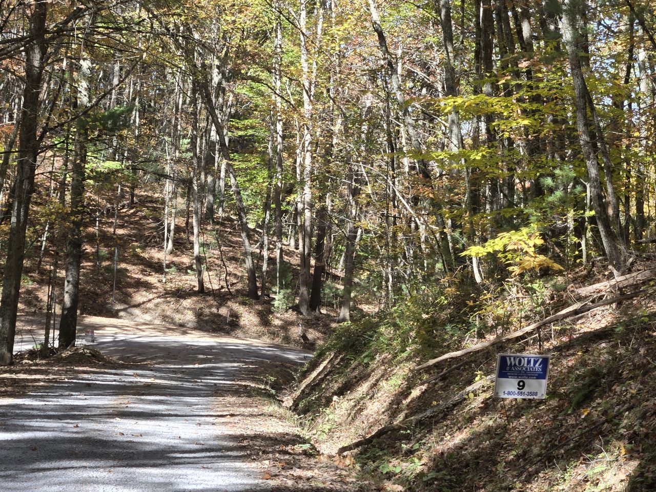 009 --20241020_134608