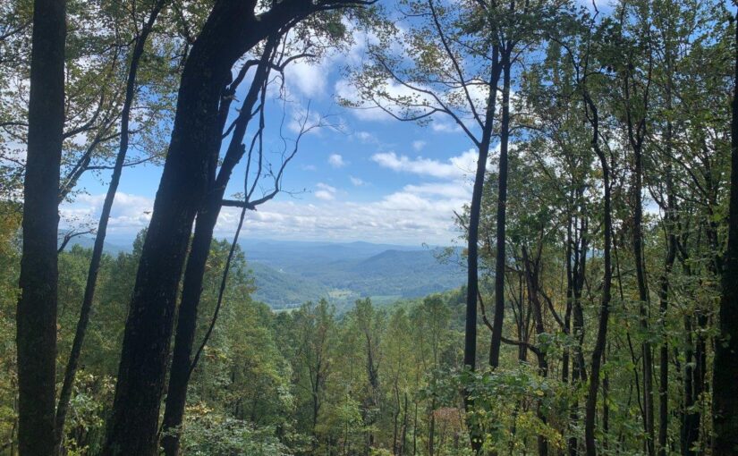 SOLD – For Sale: Premier 28± Acre Wooded Mountain Tract