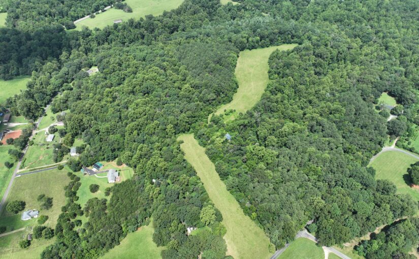 SOLD – Absolute Auction: DeColigny Estate – Land – Commercial Sites – Homes