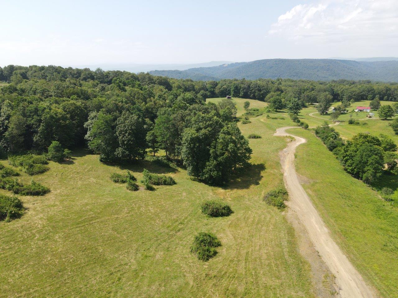 dji_fly_20250724_111728_995_1753370273406_photo