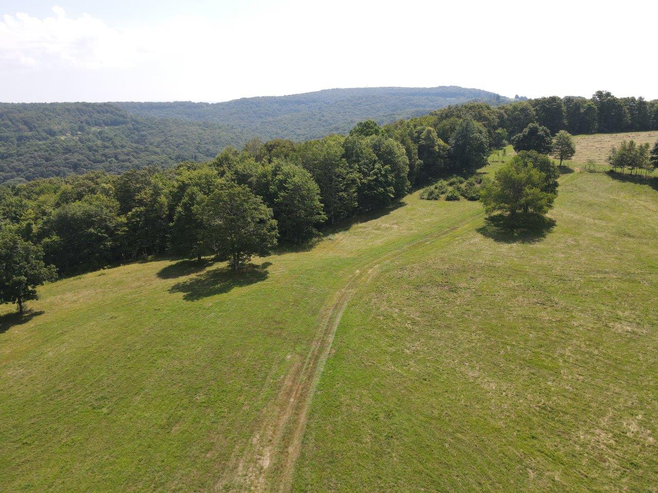 dji_fly_20250724_111740_999_1753370301805_photo