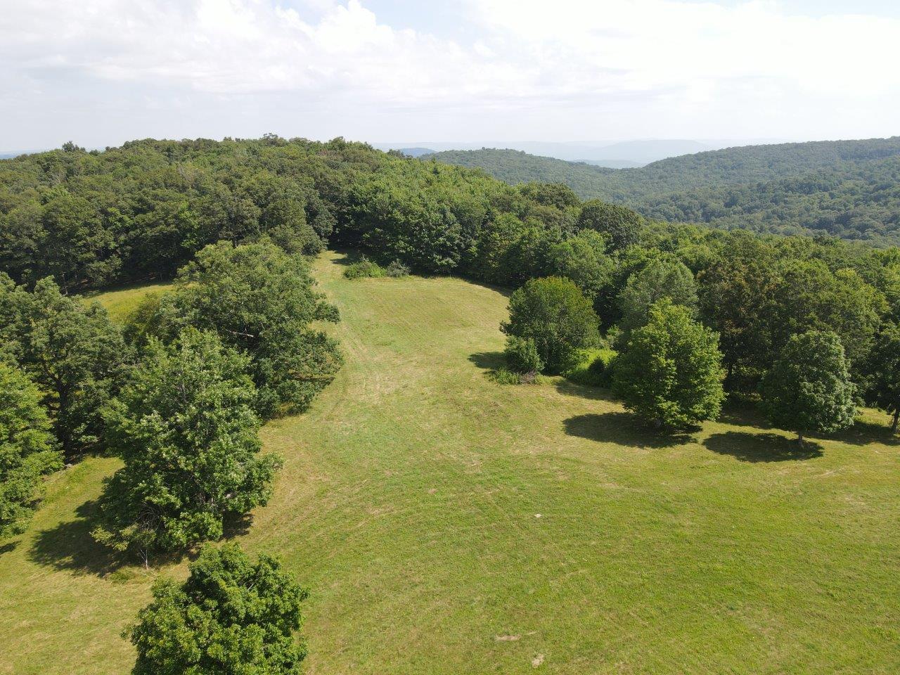 dji_fly_20250724_111744_1_1753370306697_photo