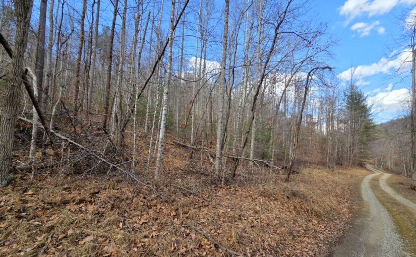 SOLD – For Sale: 23.5± Wooded Acres – Minutes From Roanoke, VA