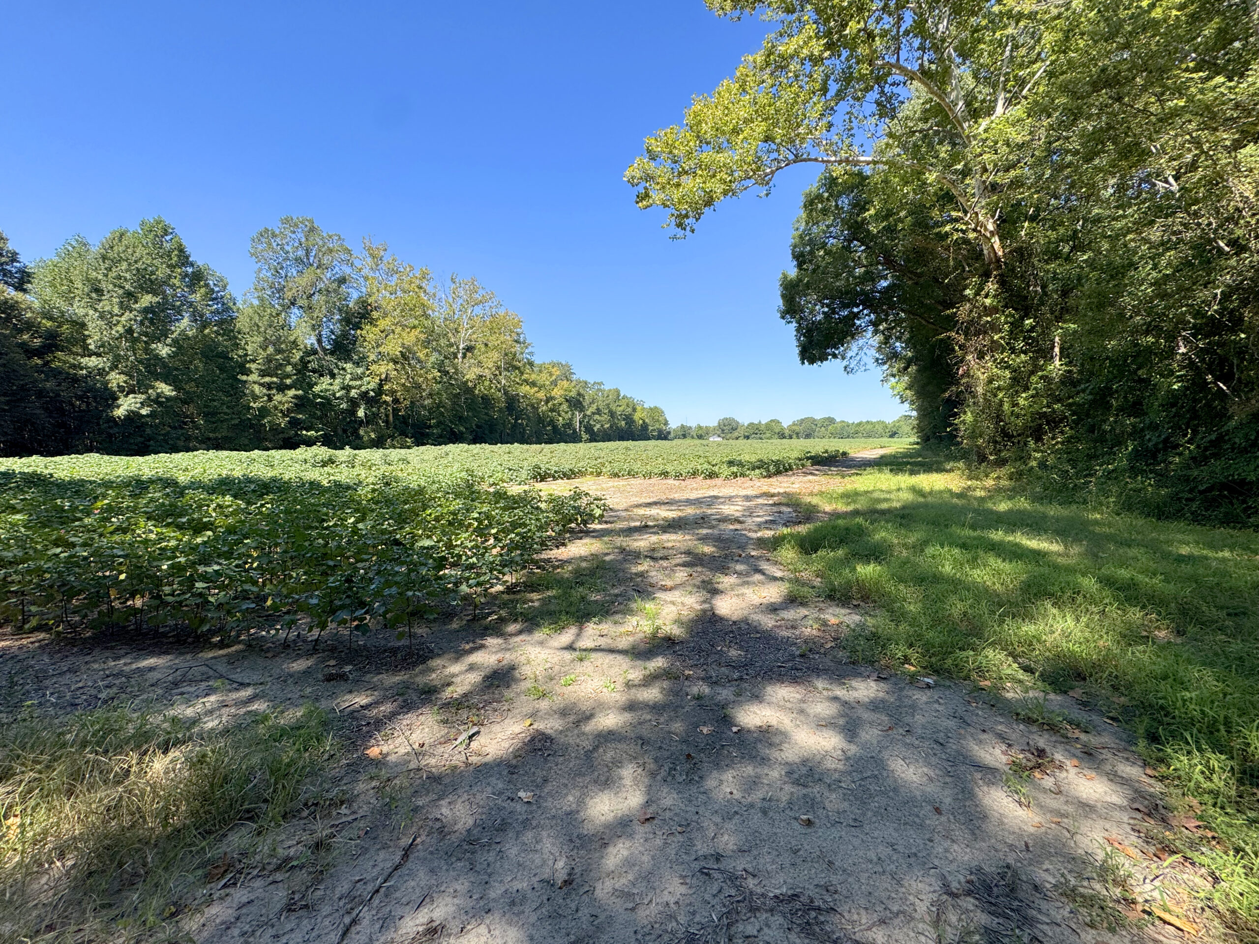 Tract 2-IMG_7990