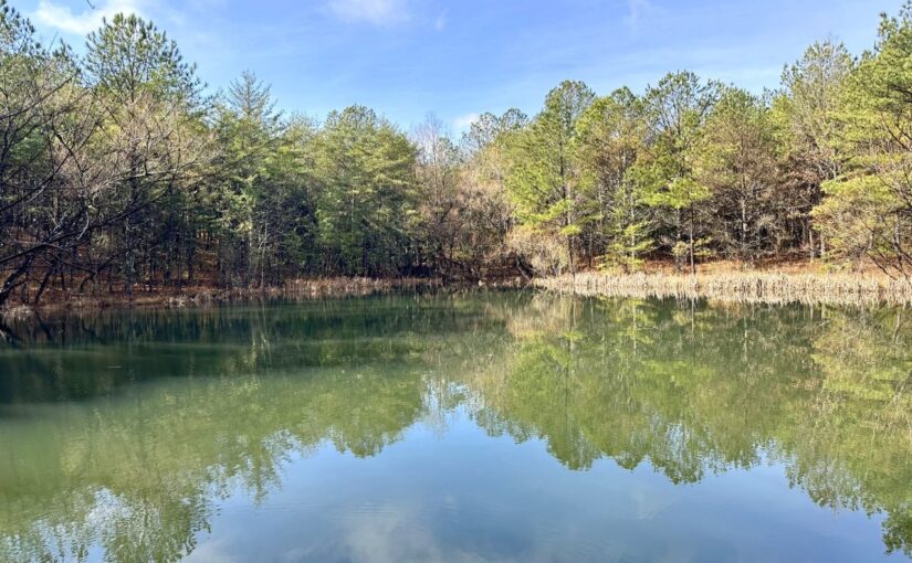 Real Estate Auction: 3,673± Acres Offered in 27 Tracts