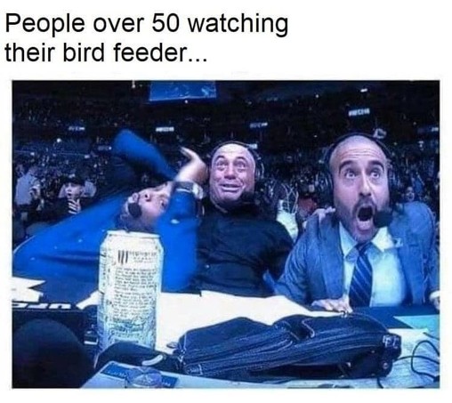 Photo of shocked sports announcers with the caption "People over 50 watching their bird feeder"
