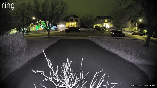 A fox runs across a driveway on a garage camera