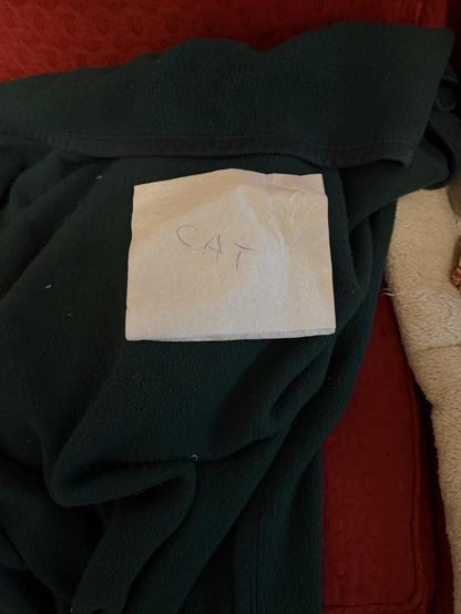 A lumpy green blanket on a red couch with a napkin that has “CAT” written on it.
Stephen is not visible.