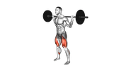 Barbell Squat
