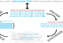 Encoding Digital data into DNA, where characteristics of living beings are saved Encoding in DNA