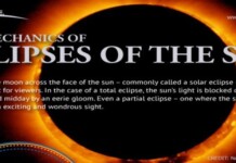 Guide to Solar Eclipses (Infographic) solar-eclipses-262