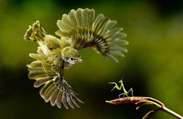 perfect-timed-shot